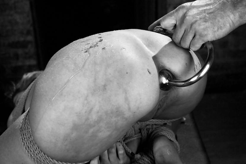 15P Dominance and submission 18