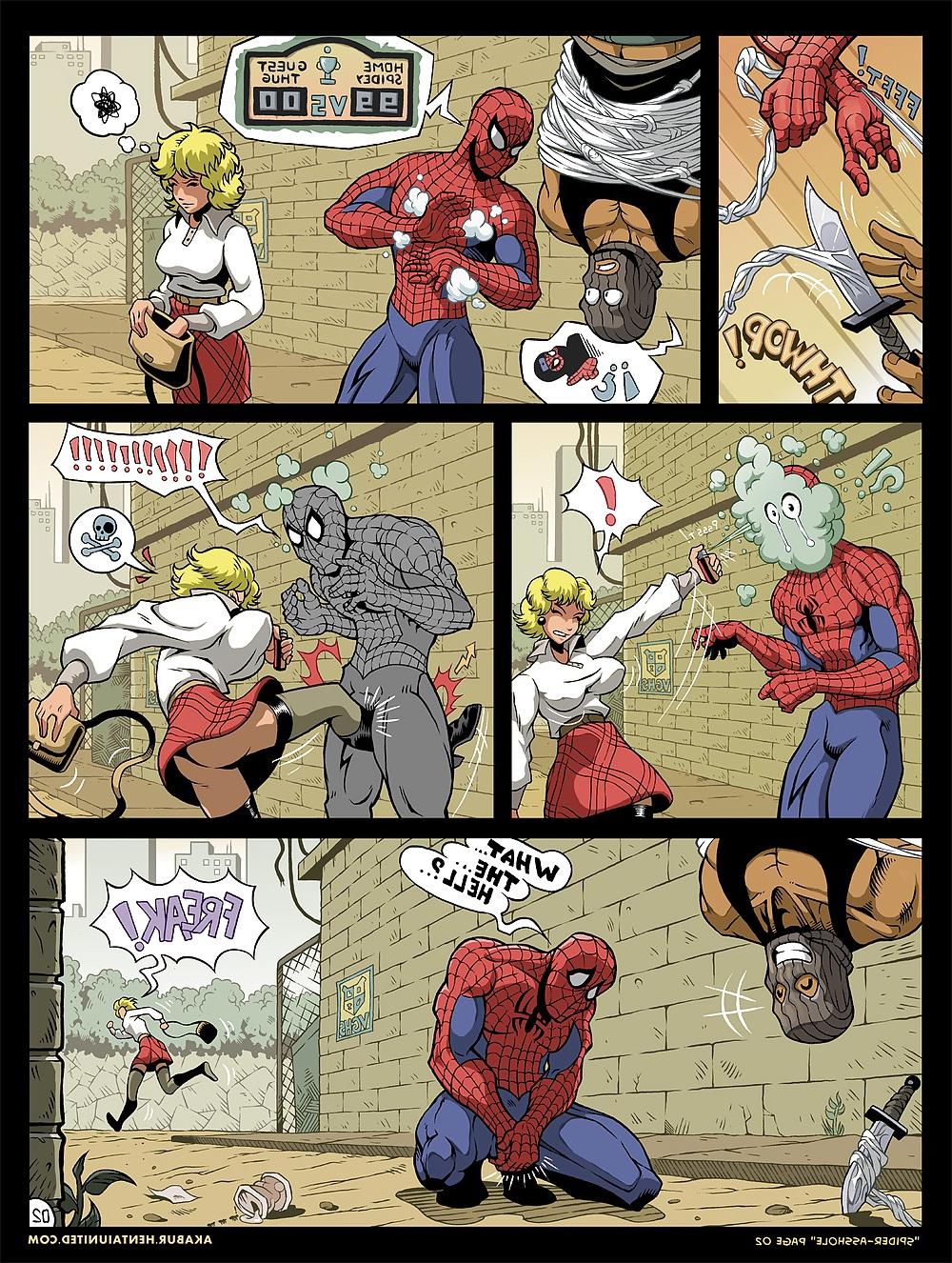 13P Spider Asshole