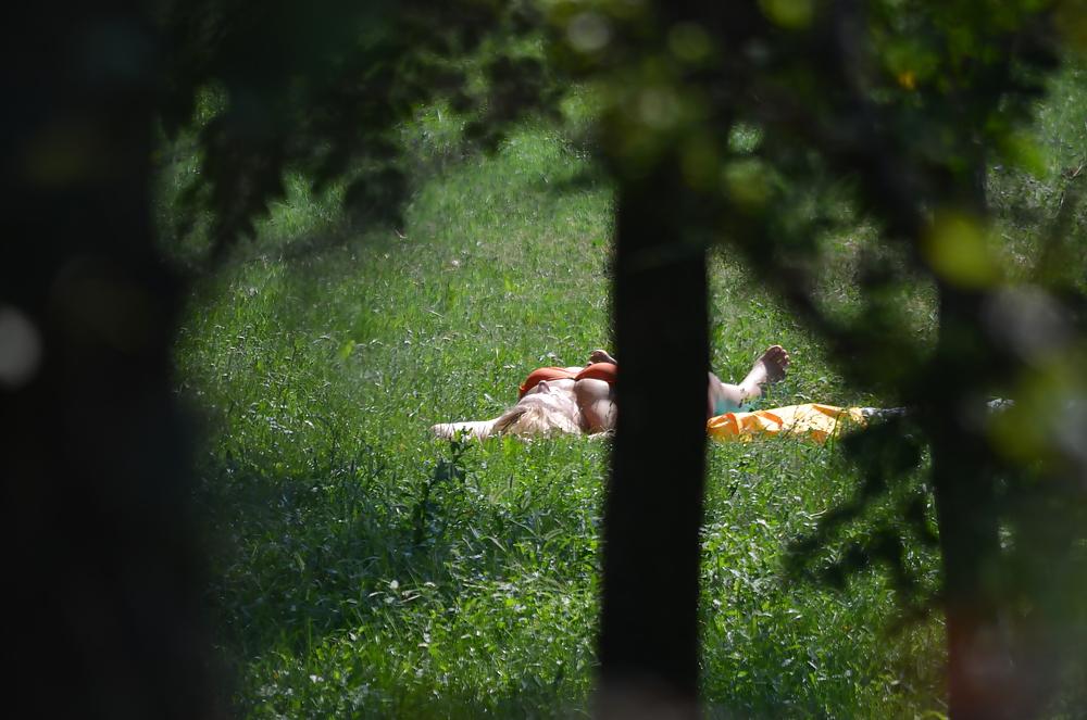 25P Milf to sunbathe in the park