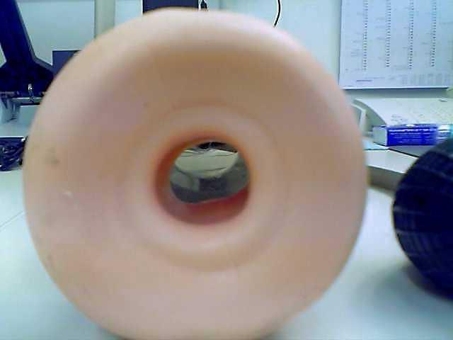 14P Penis Pump