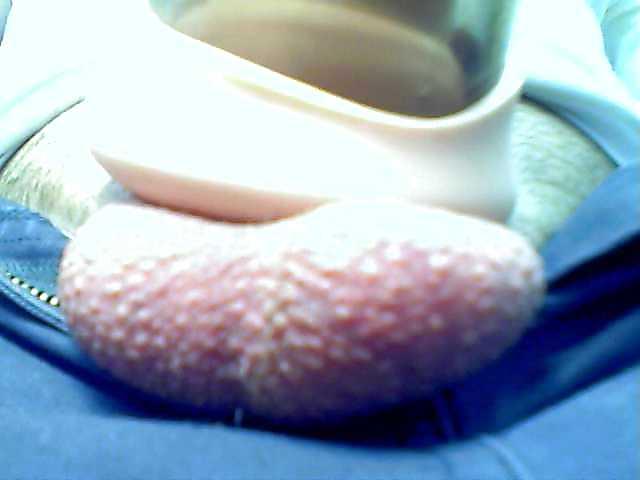 14P Penis Pump