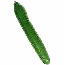 25P Toys for my Asshole-play with me