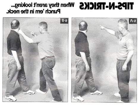 22P Lustige, zufällige Bilder
