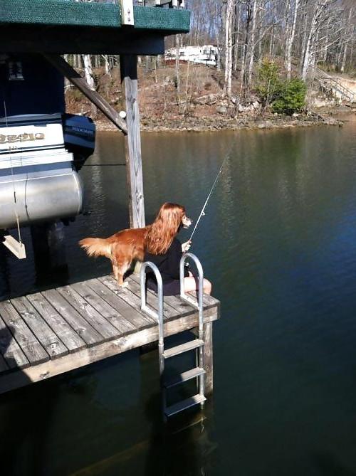 24P Funny Pictures 2