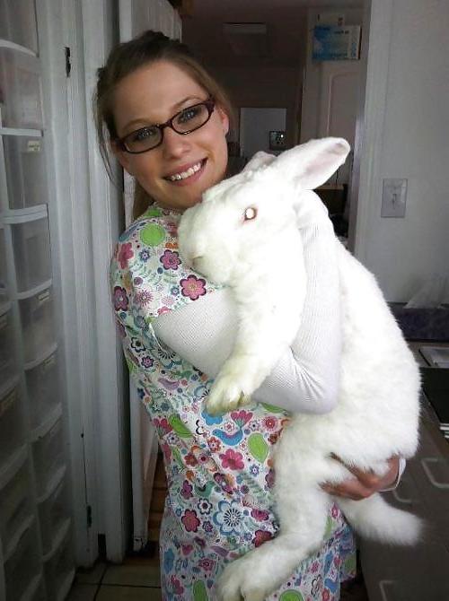 24P Funny Pictures 2