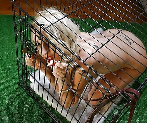 25P Caged Fans 1 by AO54
