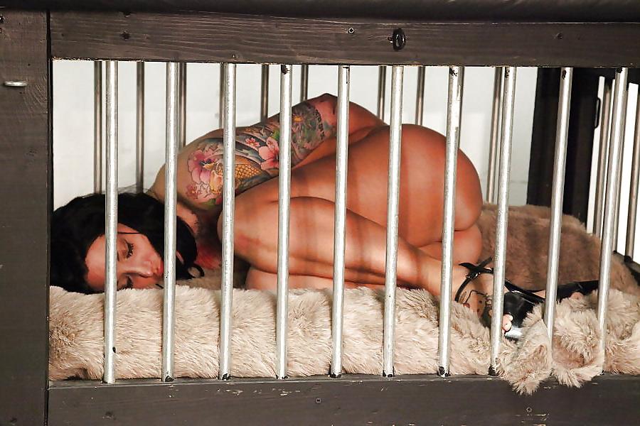 25P Caged Fans 1 by AO54