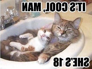 11P Funny 
