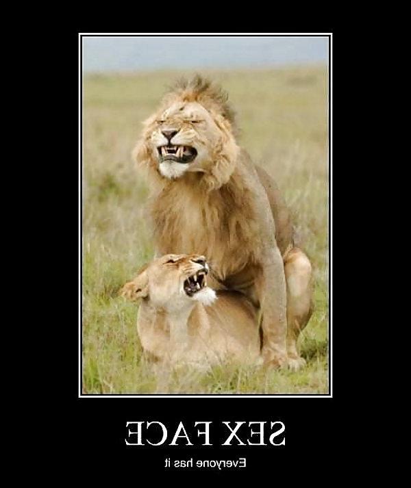 11P Funny 