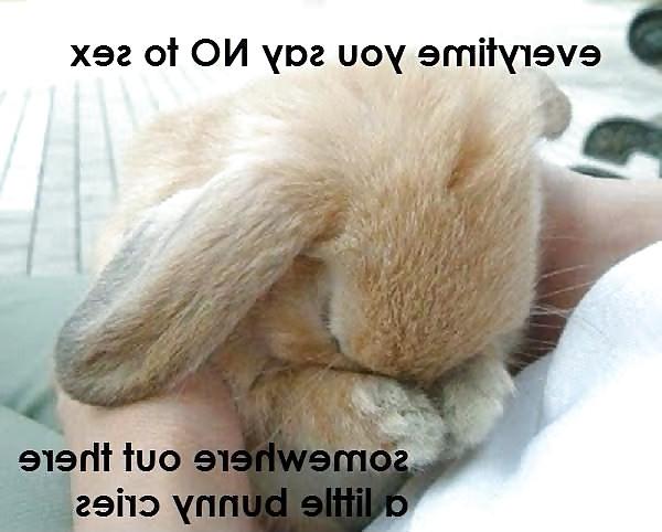 11P Funny 