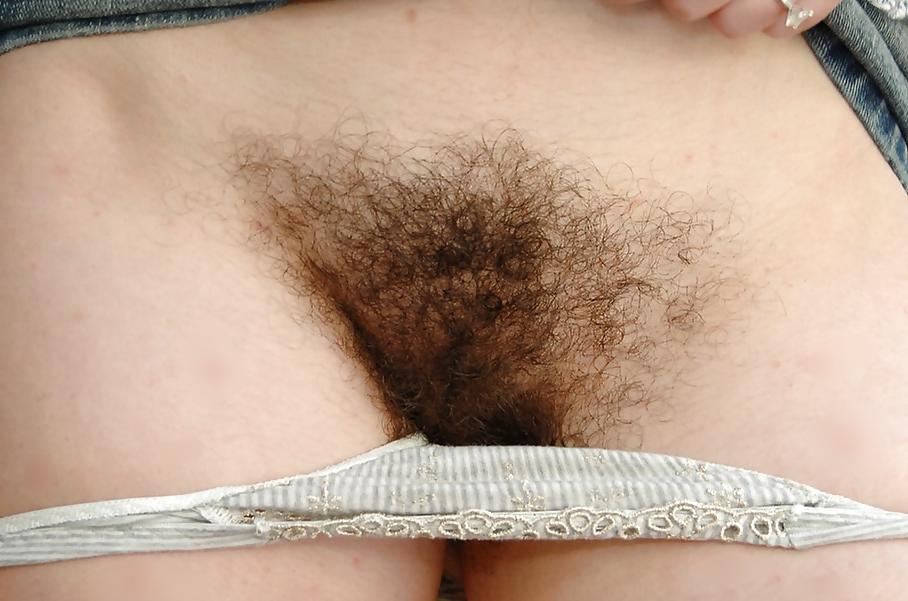 25P From the Moshe Files: Show Us Your Pussy 2
