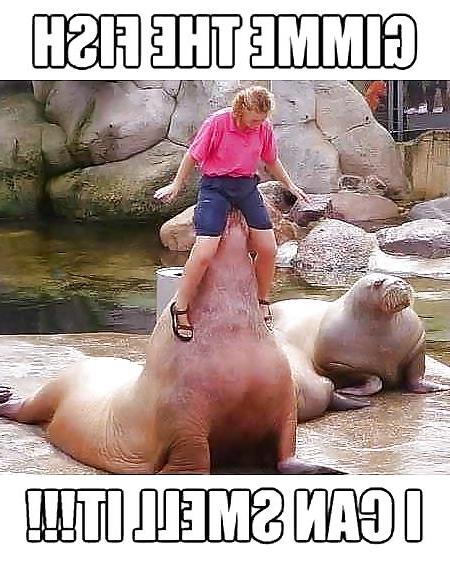 22P Funny