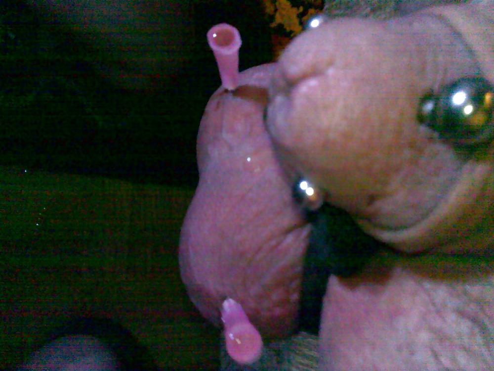 5P Penis piercing