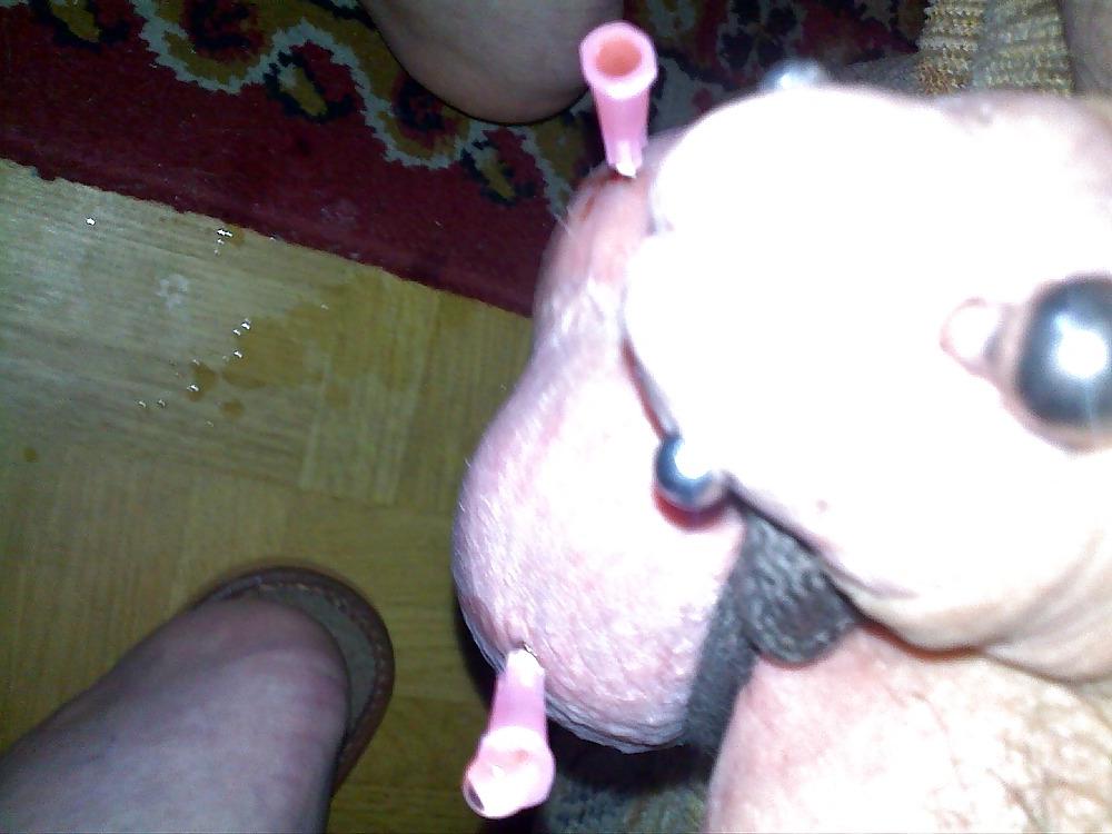 5P Penis piercing