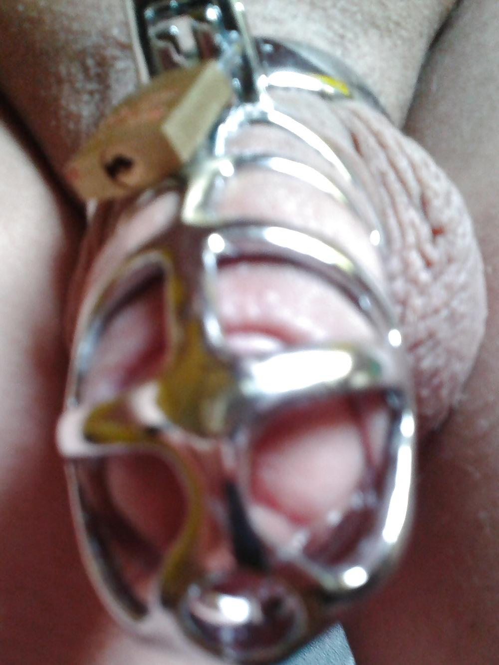 6P New chastity cage