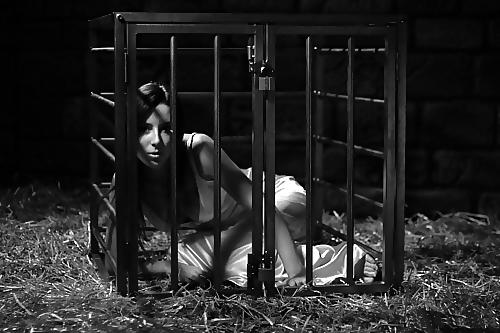 25P Caged Fans 2 by AO54