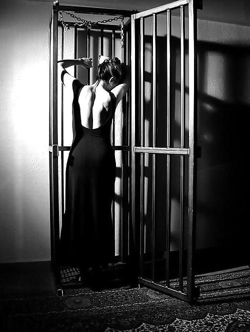 25P Caged Fans 2 by AO54