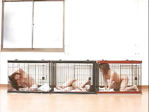 25P Caged Fans 2 by AO54