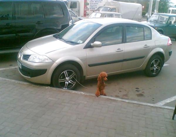 20P Funny Pics From Russia