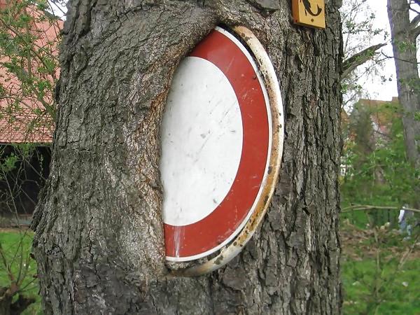 20P Funny Pics From Russia