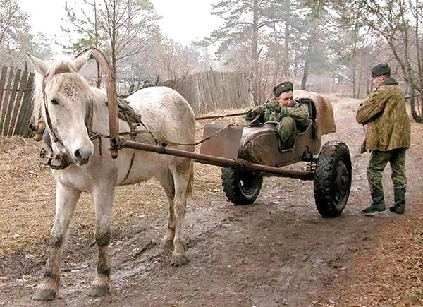 20P Funny Pics From Russia