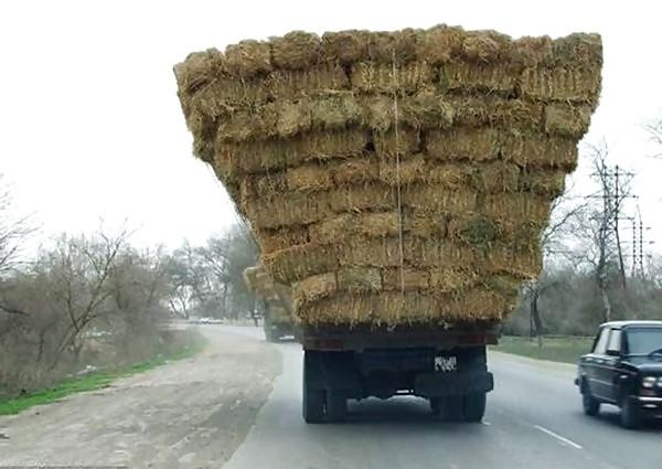20P Funny Pics From Russia