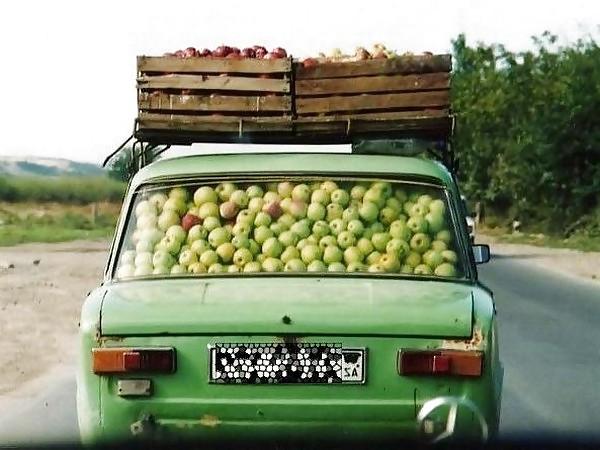 20P Funny Pics From Russia