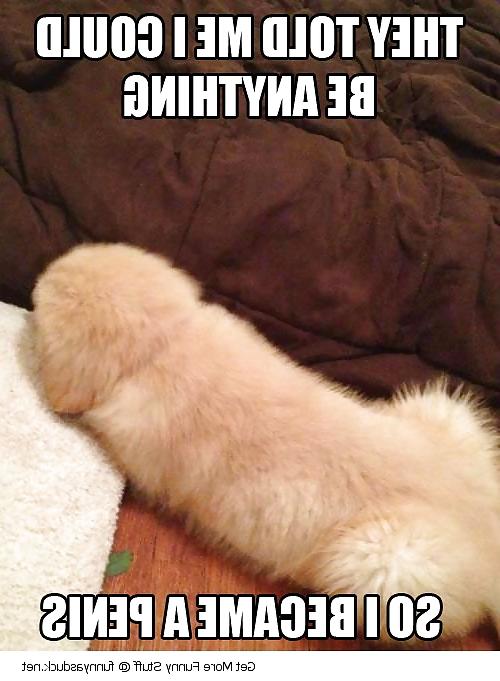 25P Funny Penis
