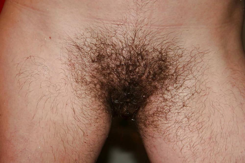 20P My hairy friend