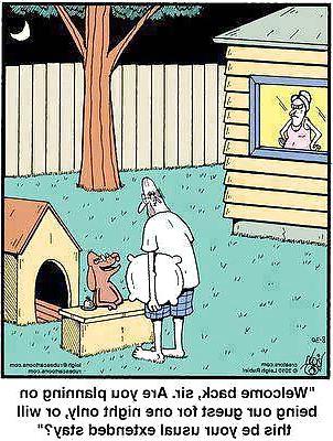 19P Cartoons,Funny