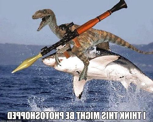 21P Funny, random pics2