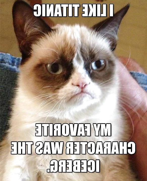 21P Funny, random pics2