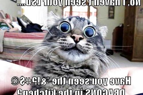 21P Funny, random pics2