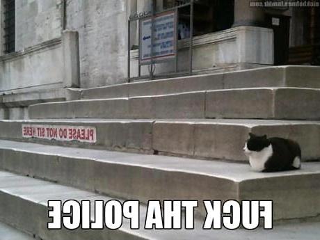 21P Funny, random pics2