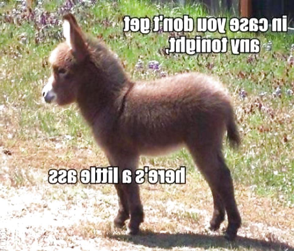 7P Funny stuff
