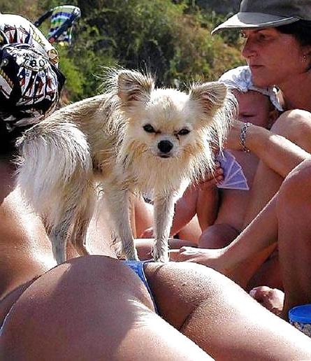 25P Some funny Pics