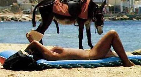 25P Some funny Pics
