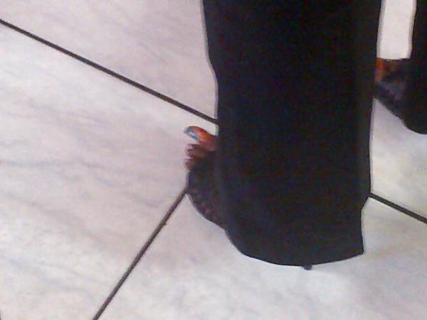 25P Beautiful long toenails