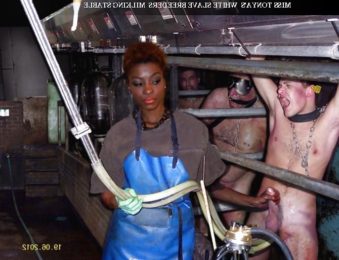 25P White slave society