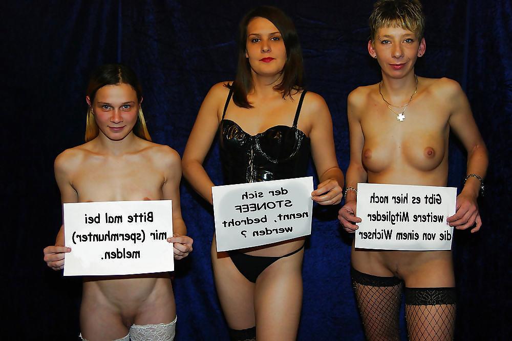 4P Funny - beim Hamster gefunden