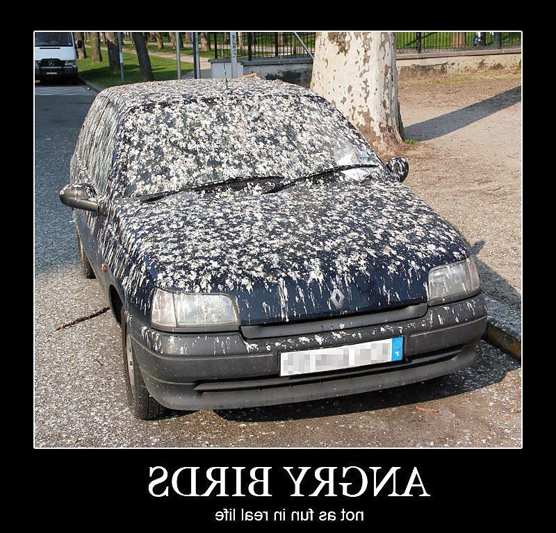 23P Fun-Funny-Smile- horney