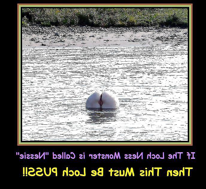 20P Funny Sexy Captioned Pictures & Posters CCXLIX 6913