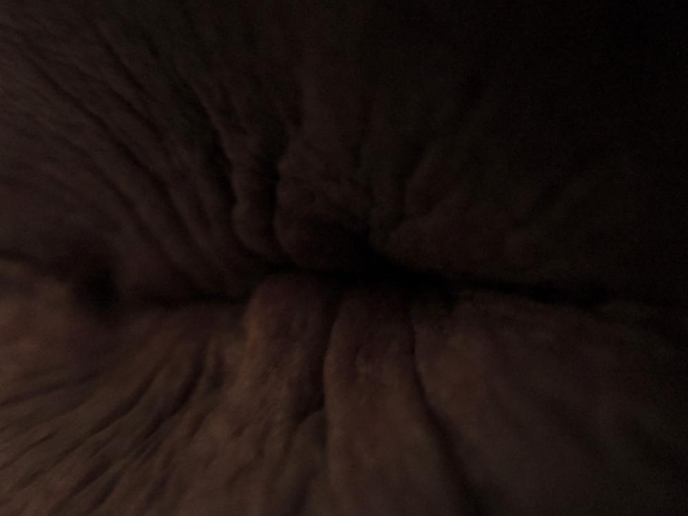 25P Amandas butthole march 2013