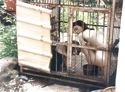 21P Caged pets