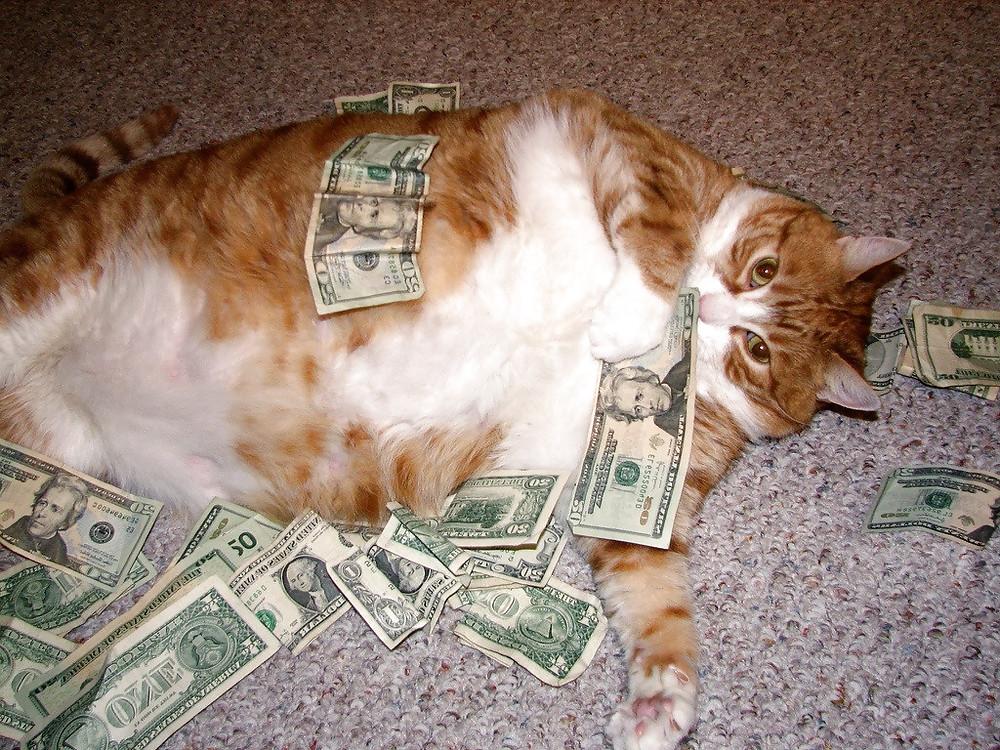 25P FUNNY PICS (LL)