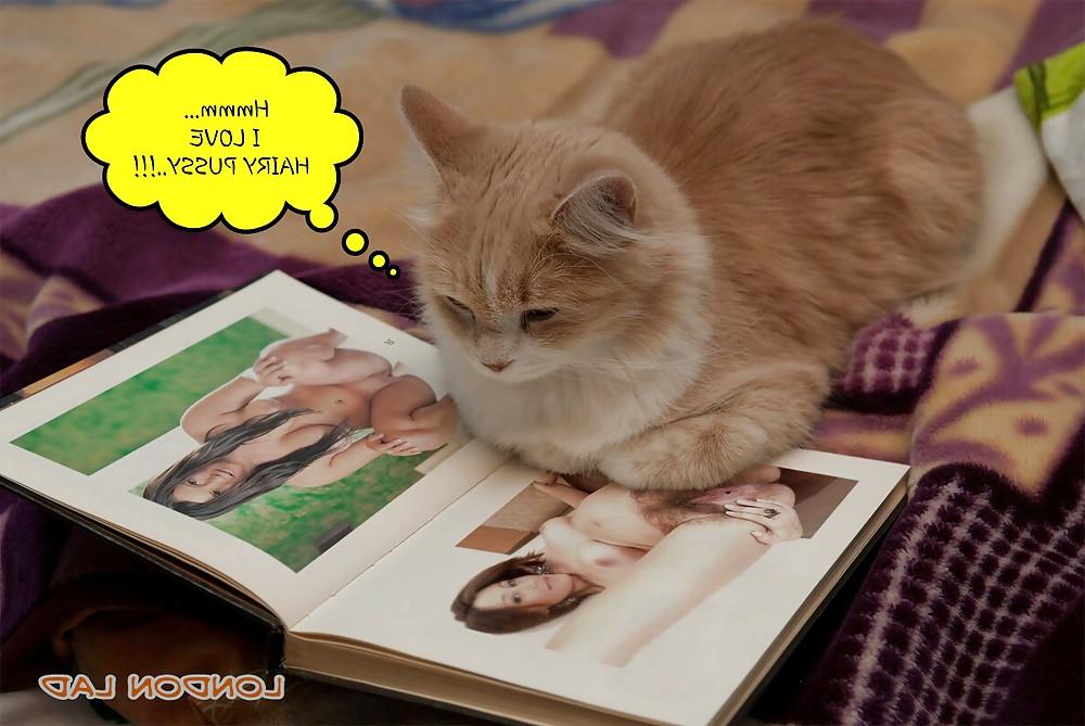 25P FUNNY PICS (LL)