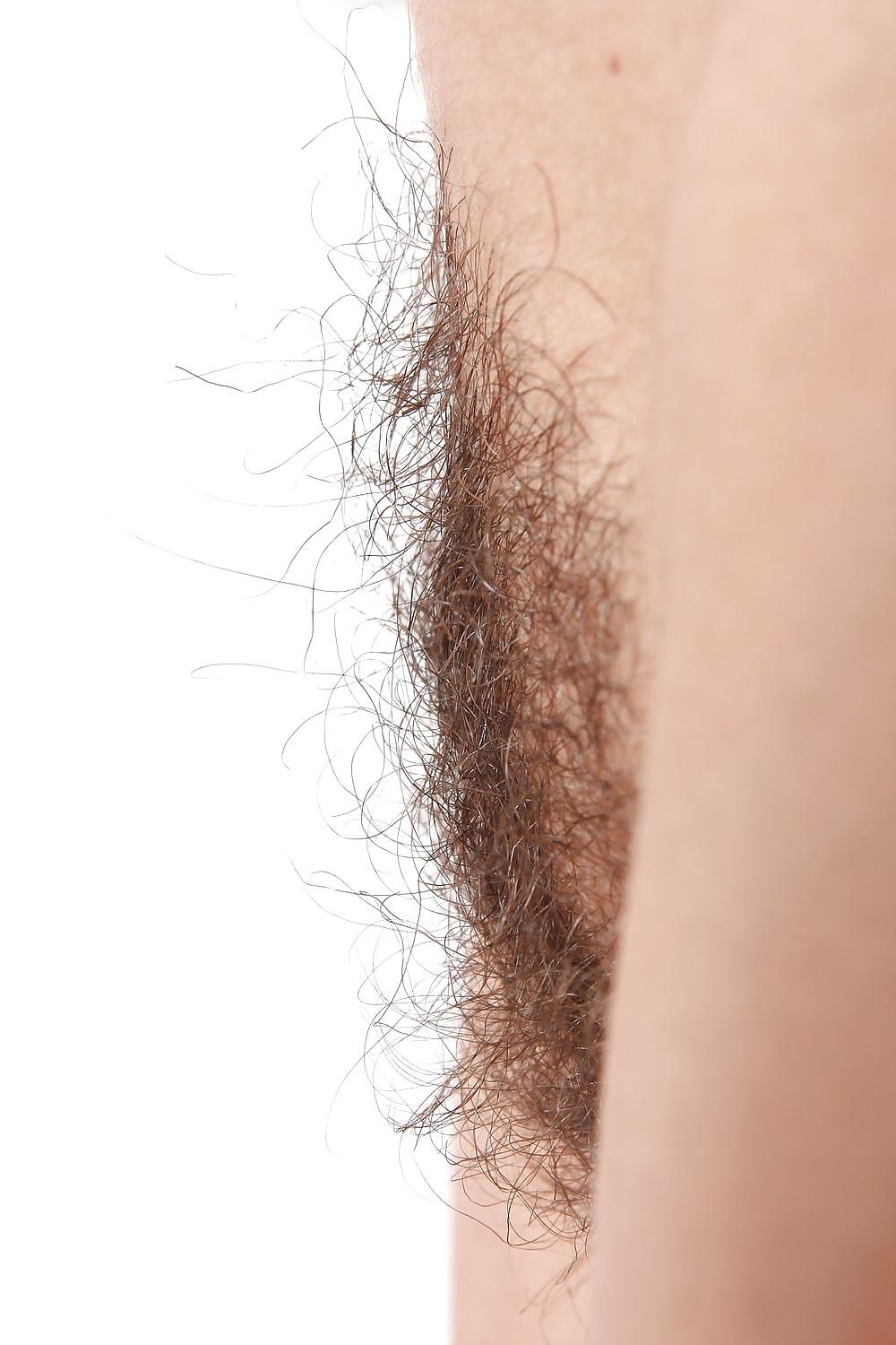 25P From the Moshe Files: la coiffure hirsute