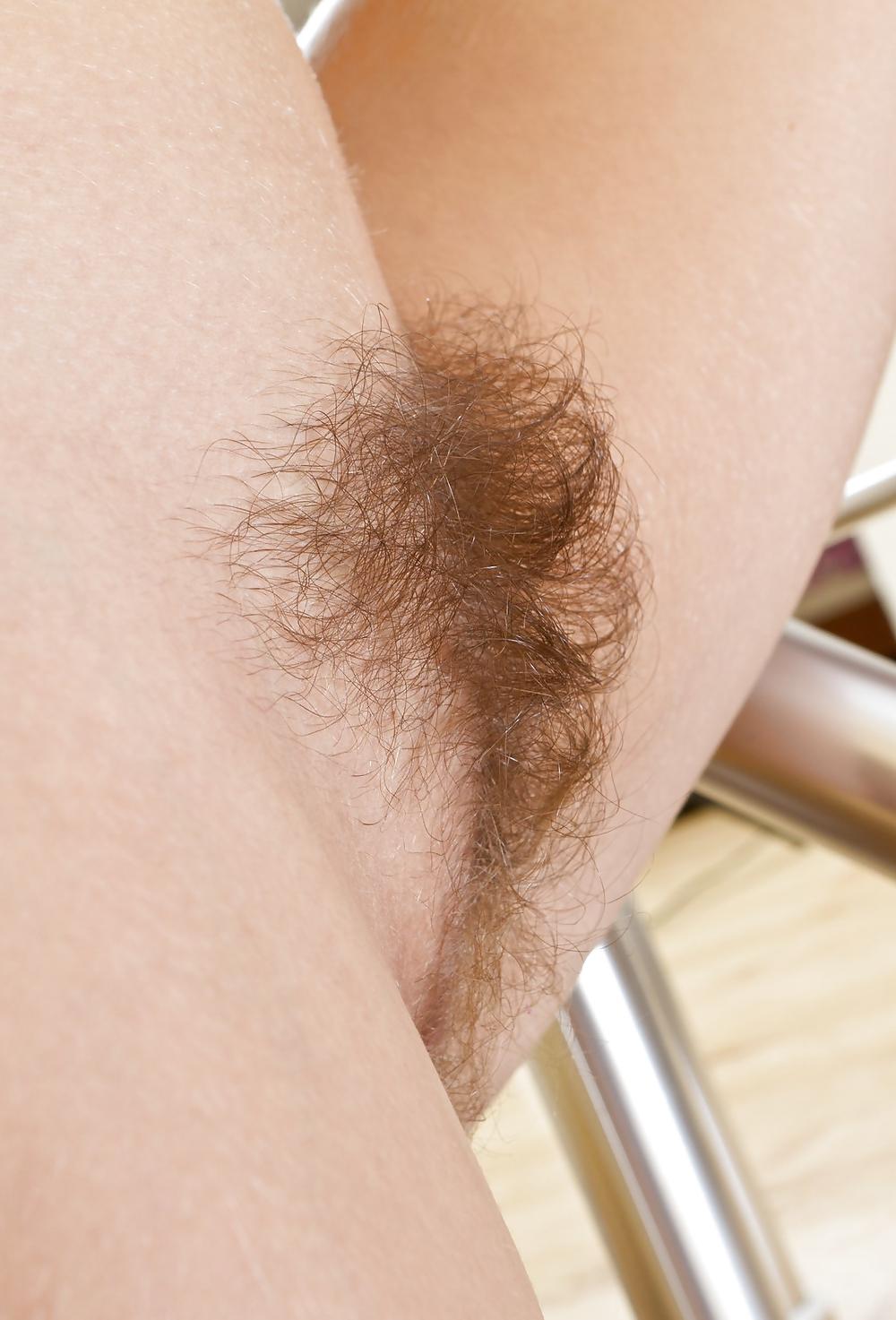 25P From the Moshe Files: la coiffure hirsute