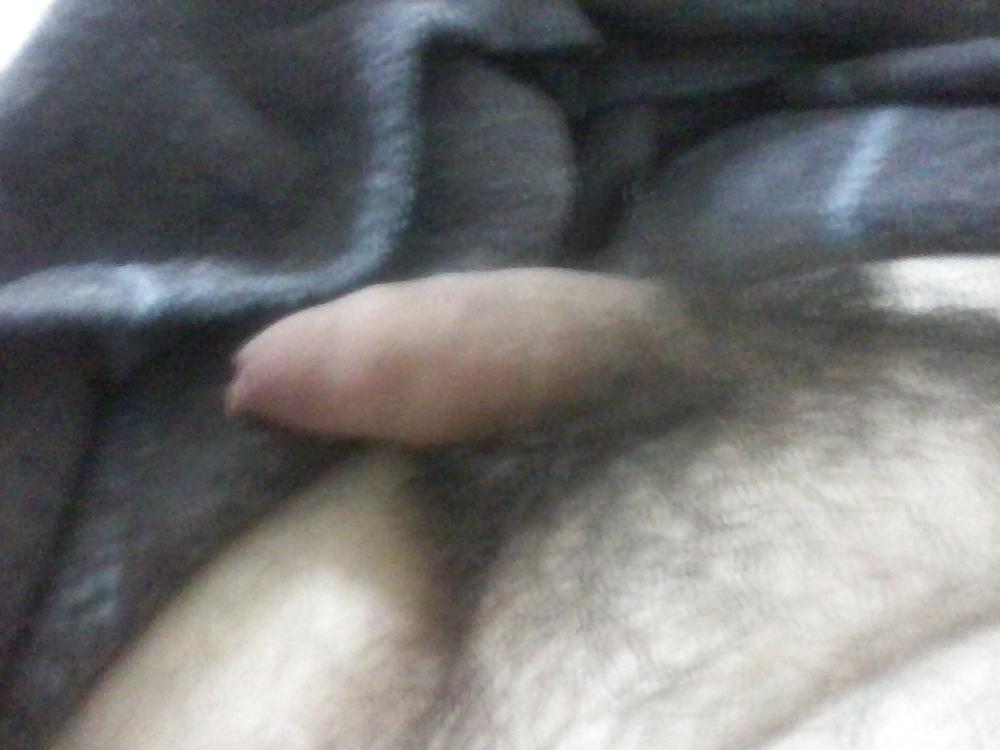 17P Uncut penis