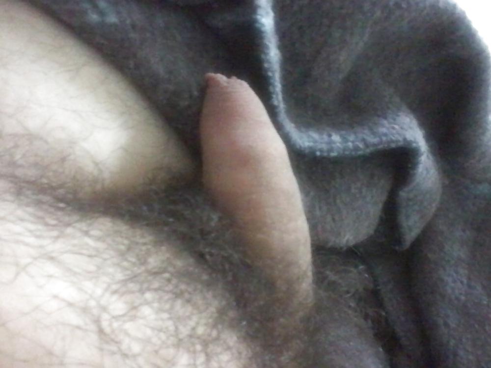 17P Uncut penis